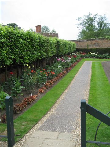 Formgehölze | Was sind Formgehölze? - Mein Garten Ratgeber