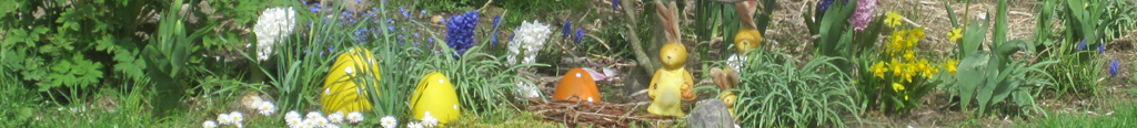 Mein Garten Ratgeber - Ostern
